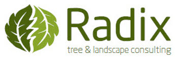 Radix Tree and Landscape Consulting